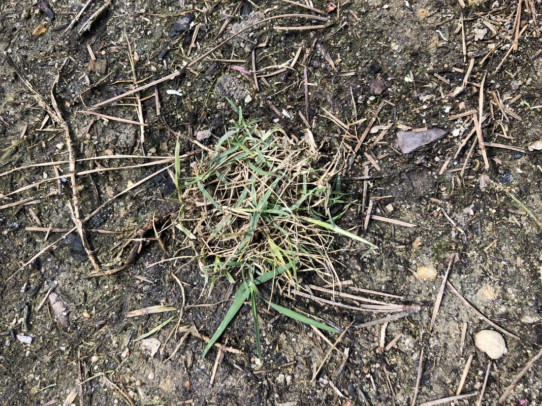 0F77D23F-313F-477E-812E-3FBCC8F67BCF