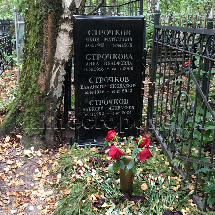 strochkov