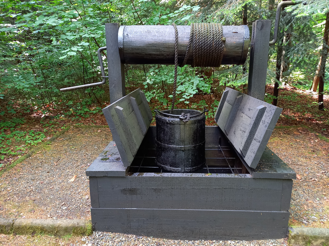 04.06b - 20220617_110811 (TomaszL)