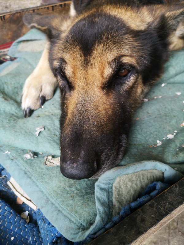 WhatsApp Image 2021-02-17 at 14.32.35 (1)