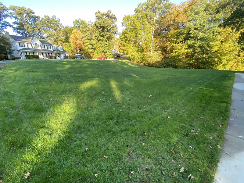 23A63F70-048C-4960-8878-9C4FEAEC9831_1_201_a