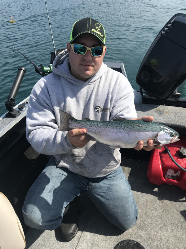 E8321A63-B7A2-4453-A660-A984393E335F