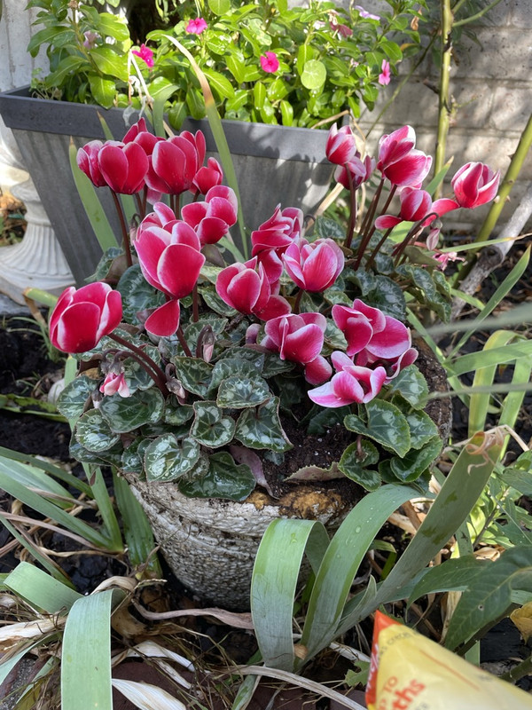 1F1DCF90-7696-4723-B77B-42AED6390FAC_1_105_c