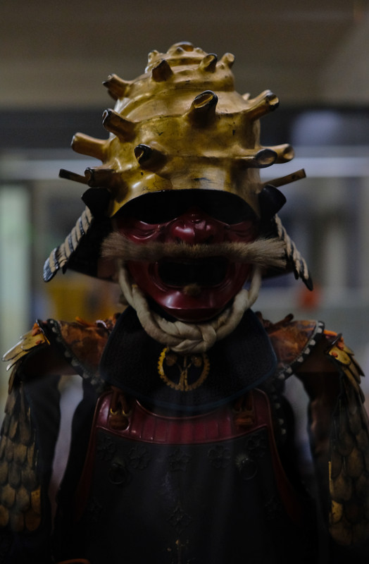 Strange aquatic samurai with a fish tail