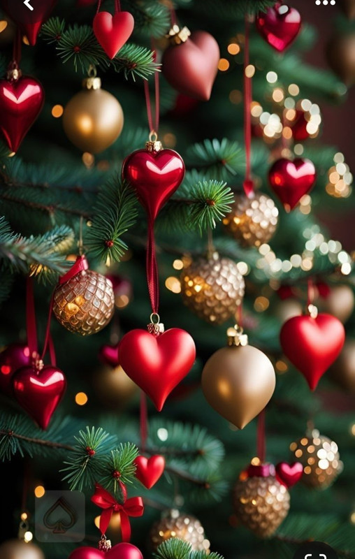 Screenshot_20231215_224852_Pinterest