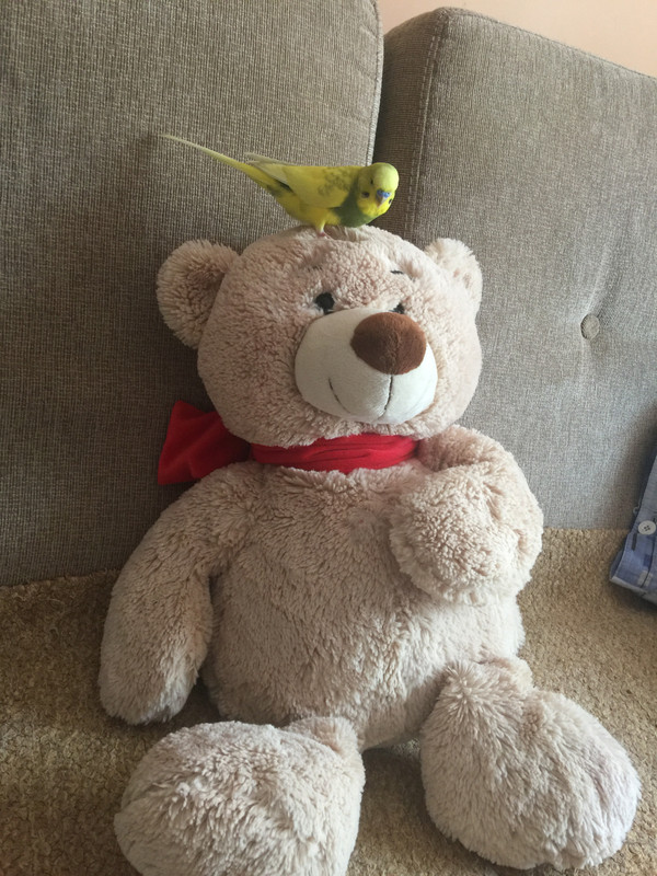 46EDF405-CC55-411E-836F-C738C707074D