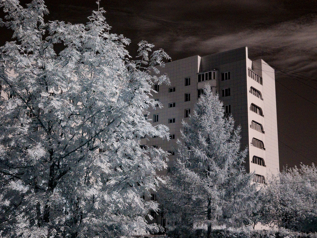 022 2023 08 31 DSC00362 — Postimages