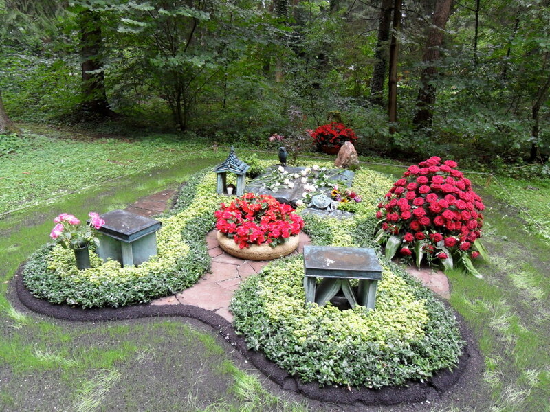 SDC10181-e1459153711310