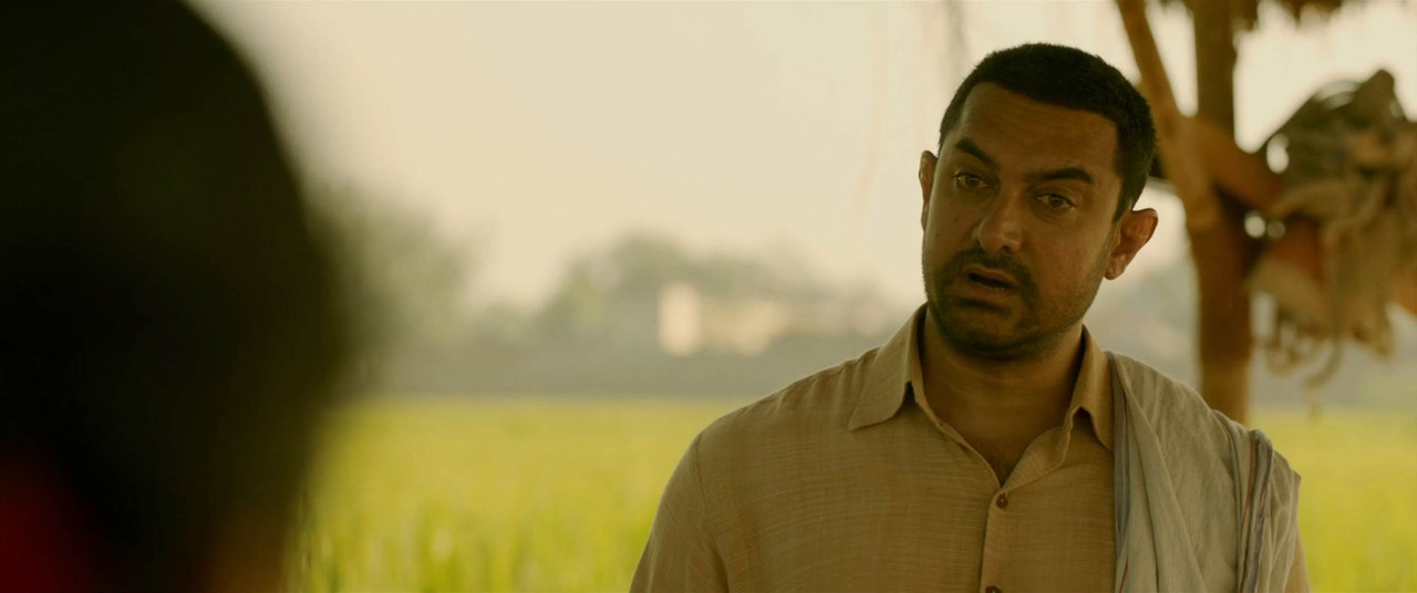 Dangal 2016 WebRip [Hindi + Tamil + Telugu] 480p, 720p, 1080p ESub Screenshot
