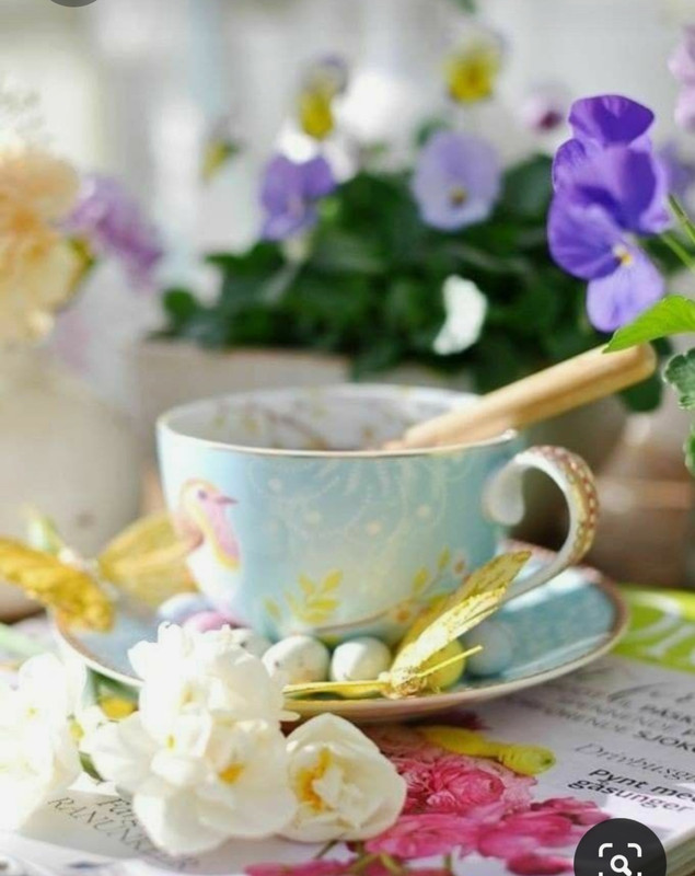 Screenshot_20230312_214251_Pinterest