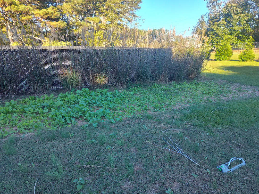 IMG_20251022_172220083_HDR