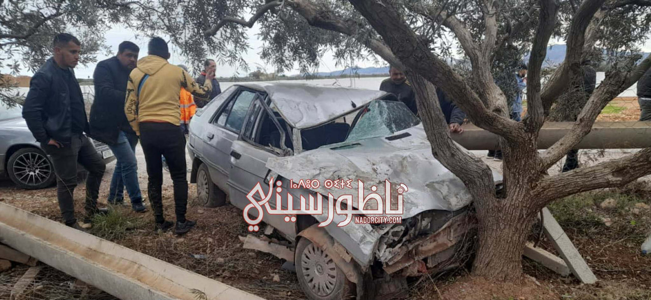 626950054-1657730572252905-5570639200498493029-n