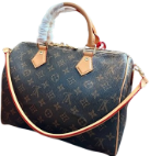 LV Speedy Bolso de Viaje