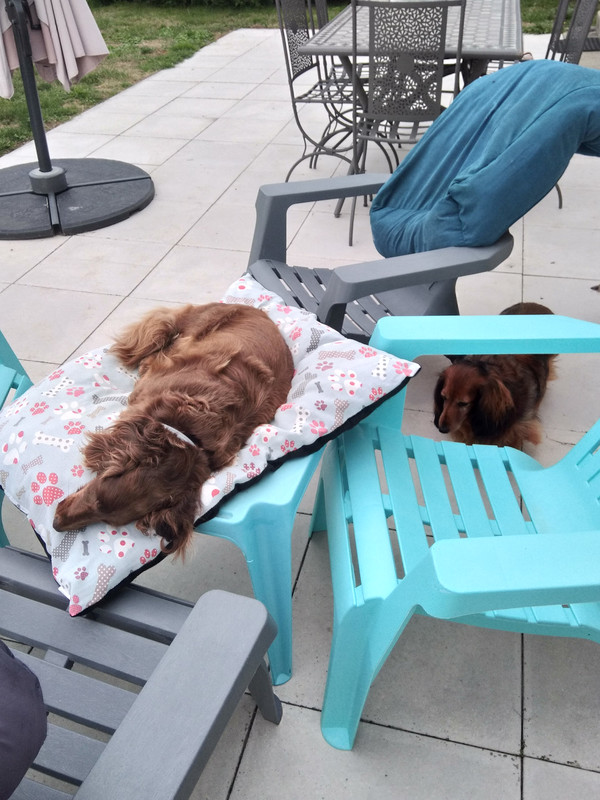 [Image: IMG-20220913-093632.jpg]