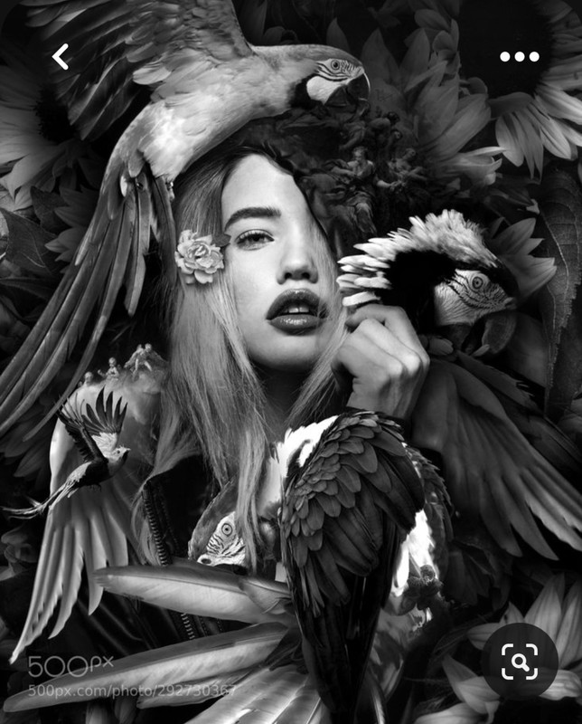 Screenshot_20230627_004537_Pinterest