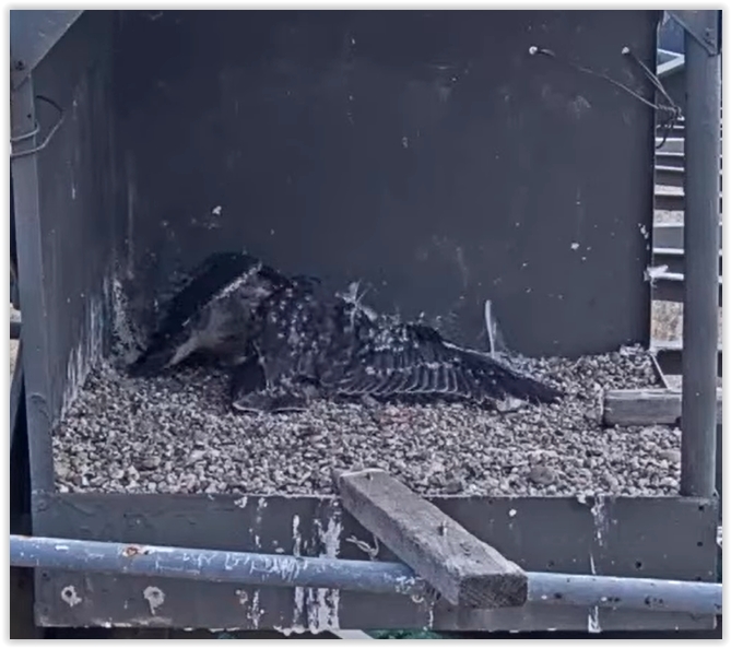 Screen Shot 08-09-22 at 08.46 AM