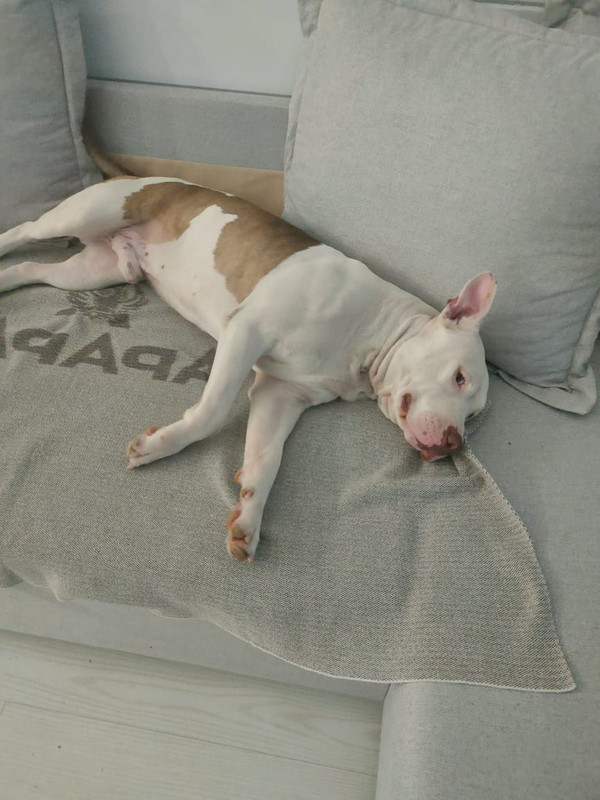 93872389-9773-42E9-88F8-B46A5311B37E