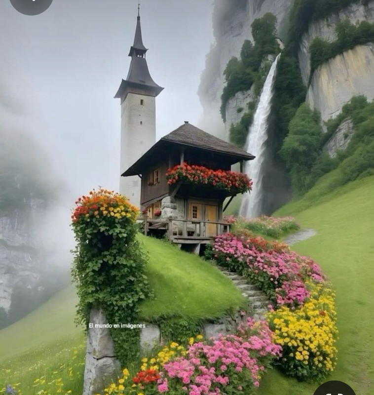 Screenshot_20240521_195527_Pinterest