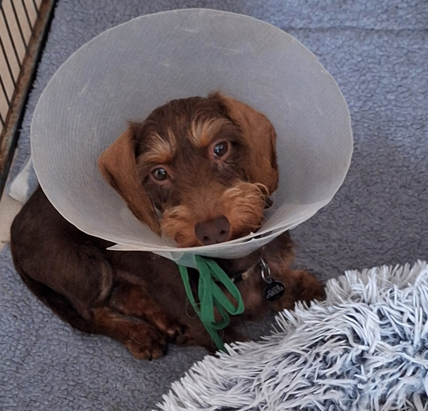 [Image: 20240712-133917.jpg]