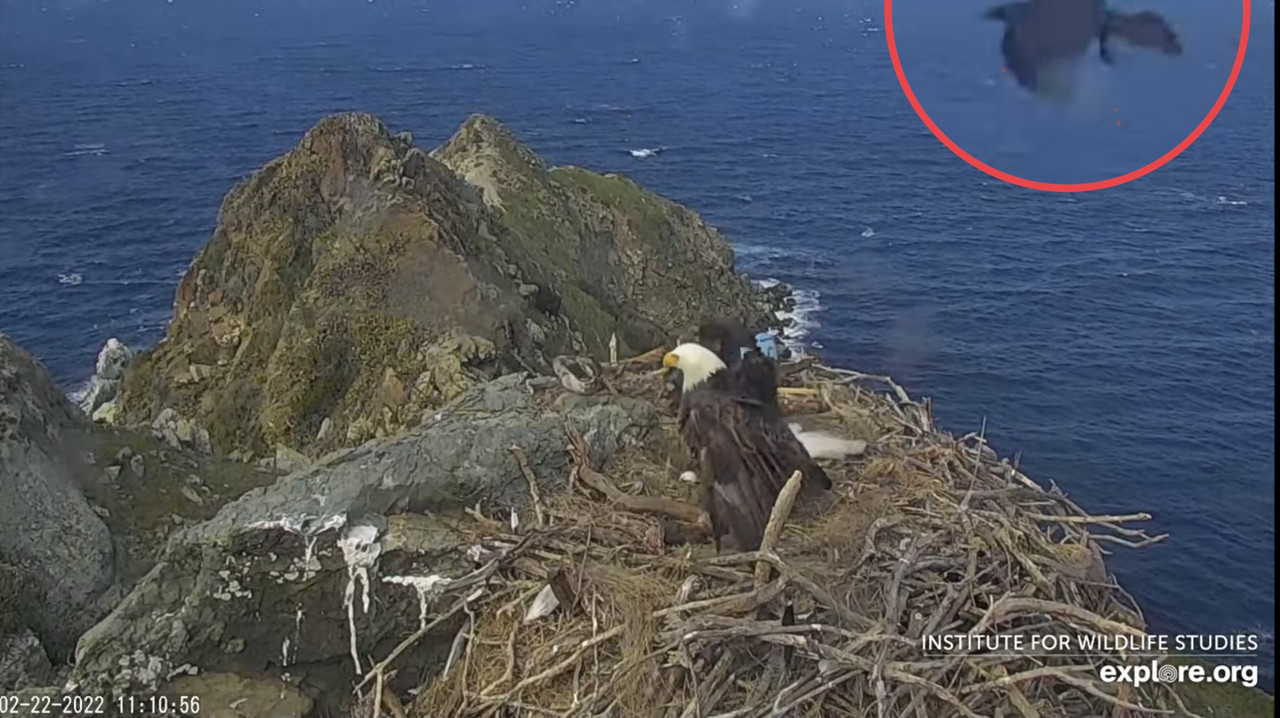 AA6FF457-4CE9-43D7-849C-0C6AAC264904