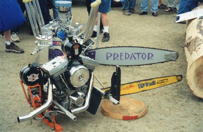img021.jpg