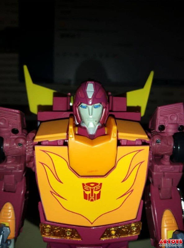 12642573_208951852788583_2563526696793941475_n