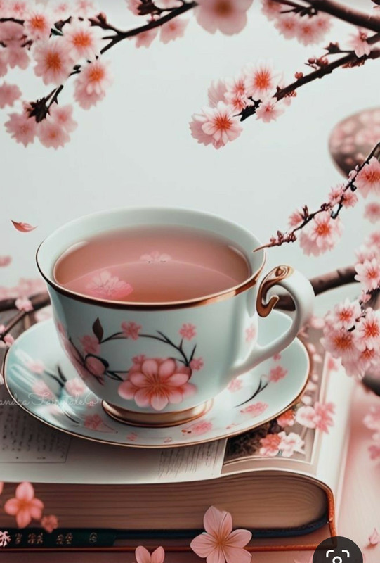 Screenshot_20230524_212848_Pinterest