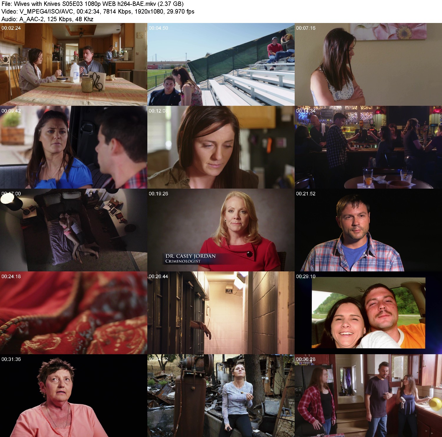 [Image: xvif88ynk2d8.jpg]