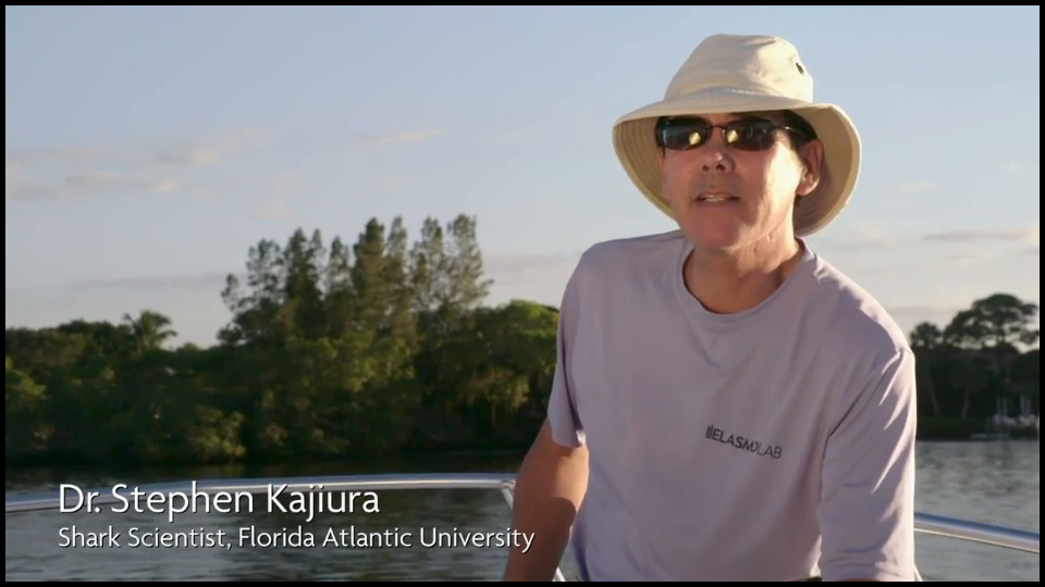 [Image: ol82ymi8a9yx.png]