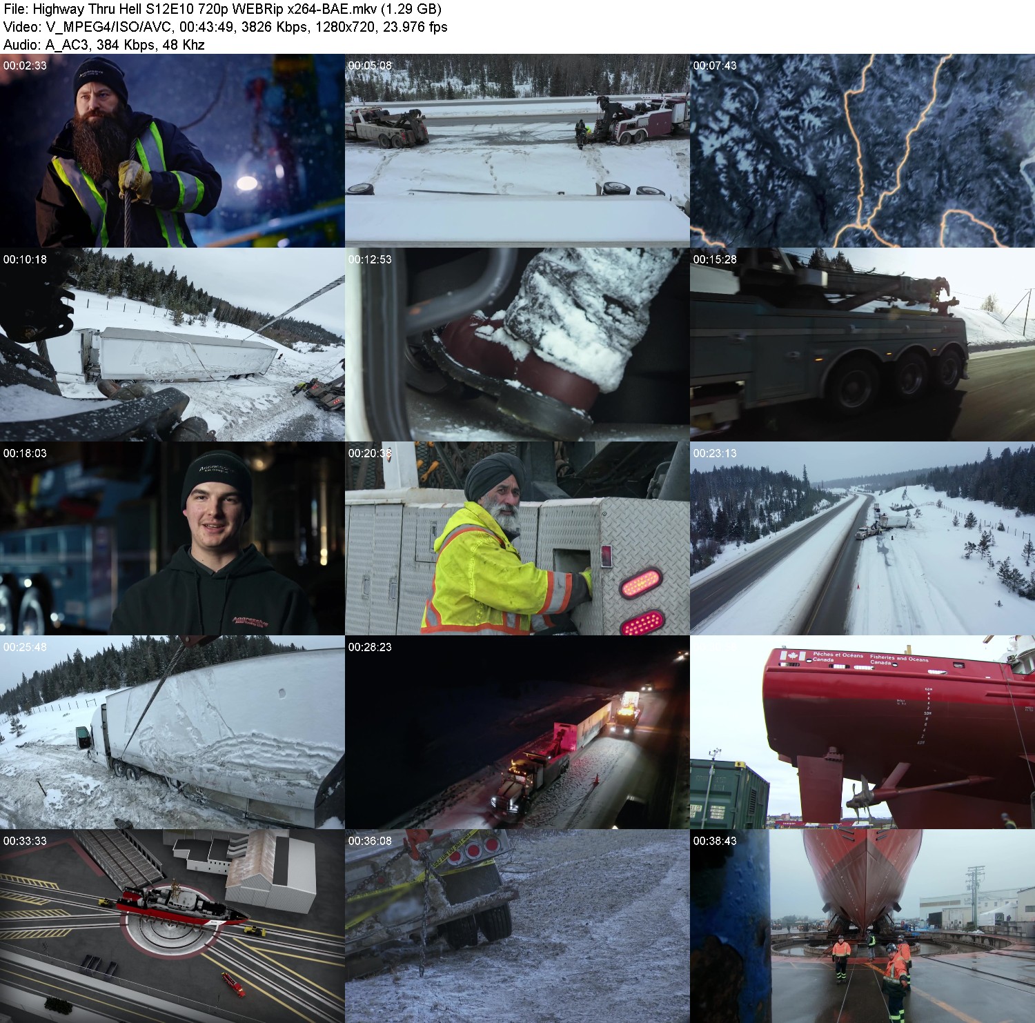 [Image: s7qsz4d2ums9.jpg]