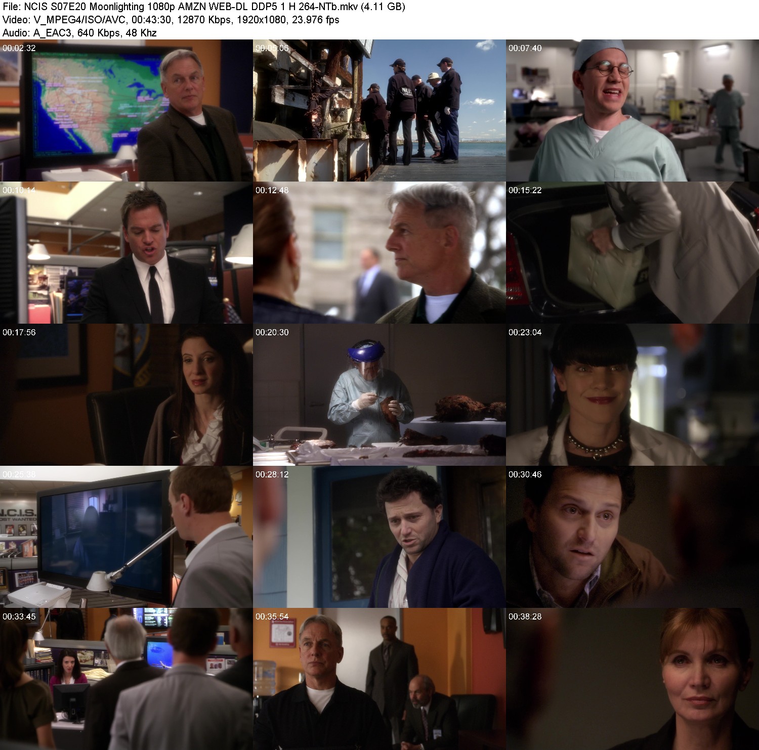 [Image: rna1euu3ki13.jpg]