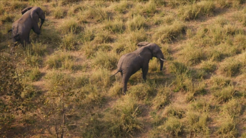 [Image: f1tk81b4pbuo.png]