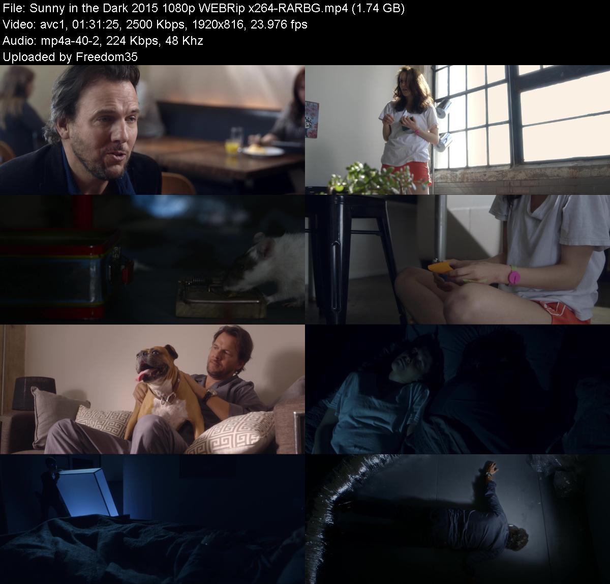 Sunny-in-the-Dark-2015-1080p-WEBRip-x264