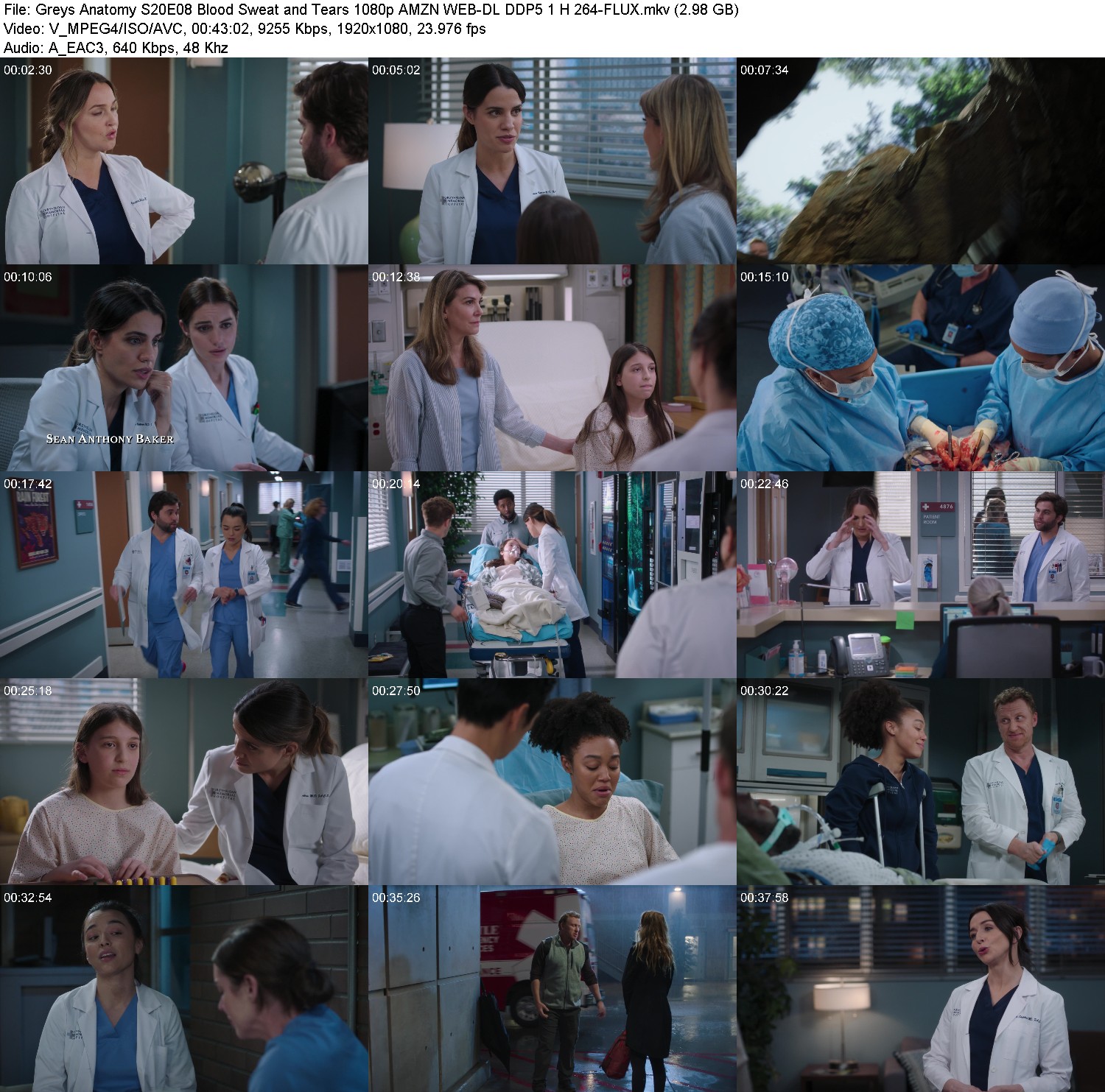 [Image: 7w1pq5eod3ry.jpg]