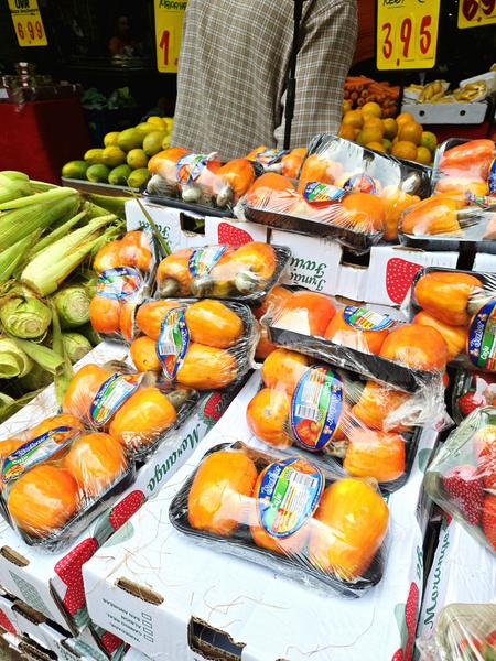 В джазе только девушки или аргентинско-бразильский калейдоскоп В джазе только девушки или аргентинско-бразильский калейдоскоп