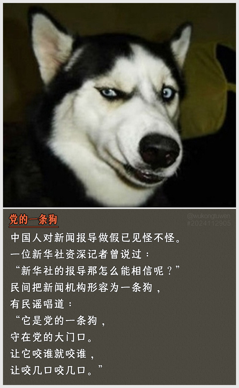 https://i.postimg.cc/0kKB7XXr/2024112905.jpg