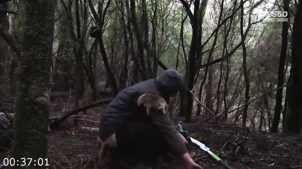 [Image: o1tkrdgd7c73.png]