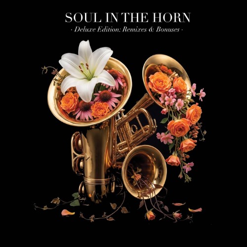 VA - Soul In The Horn (Act 4) (Deluxe Edition REMIXES and BONUSES) (2026) MP3