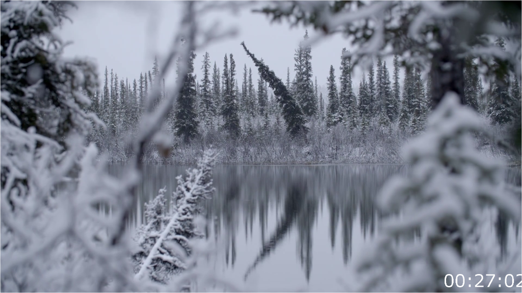 [Image: pdb8yr63wf8t.png]