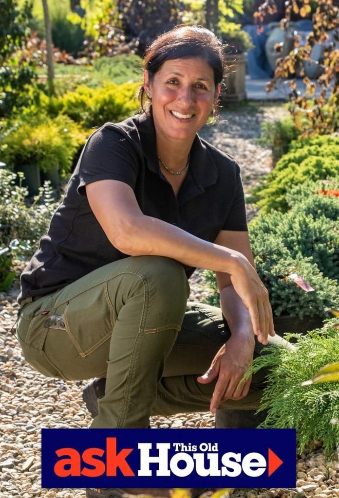 [Image: cce04qdgqx03.jpg]