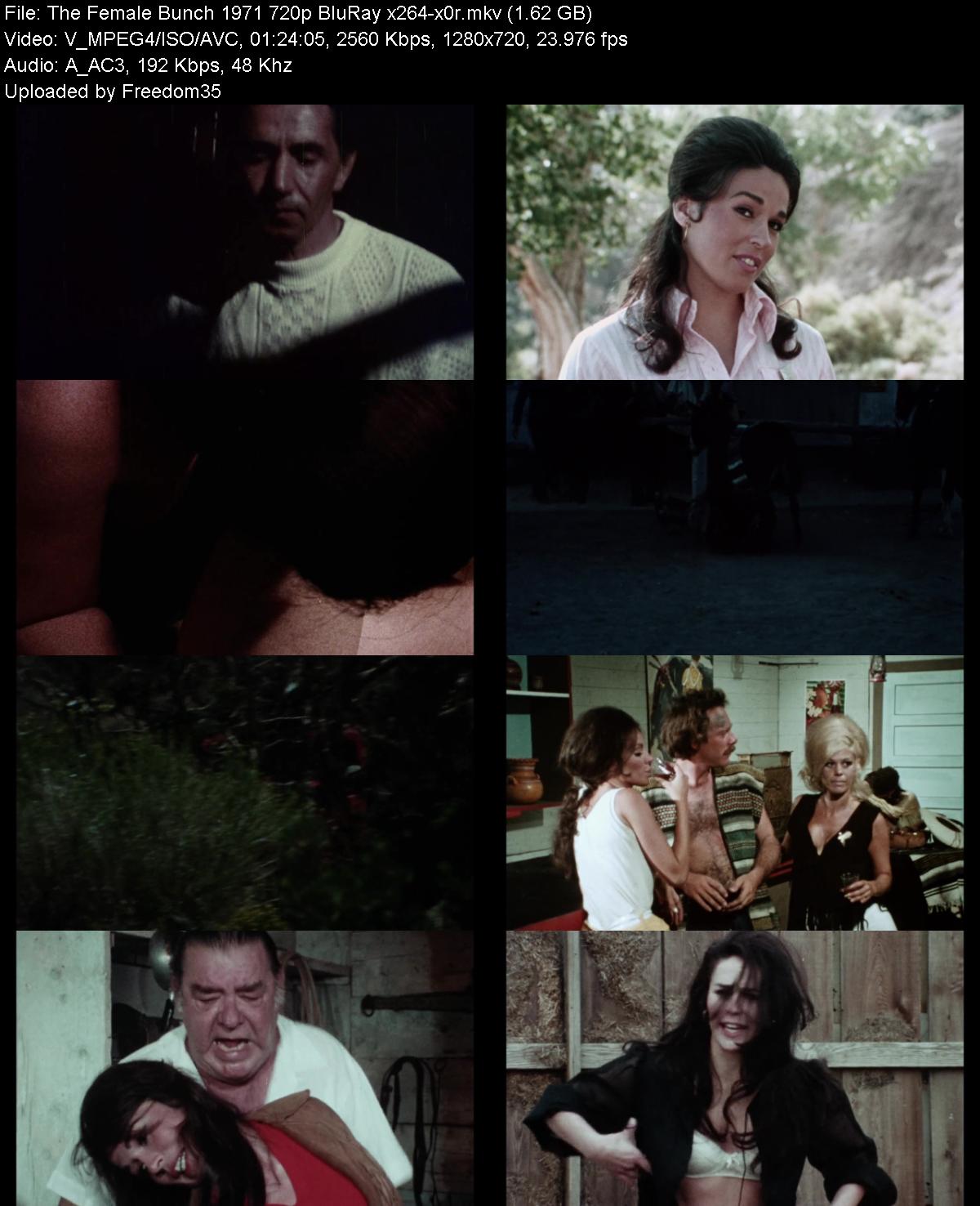 The-Female-Bunch-1971-720p-Blu-Ray-x264-