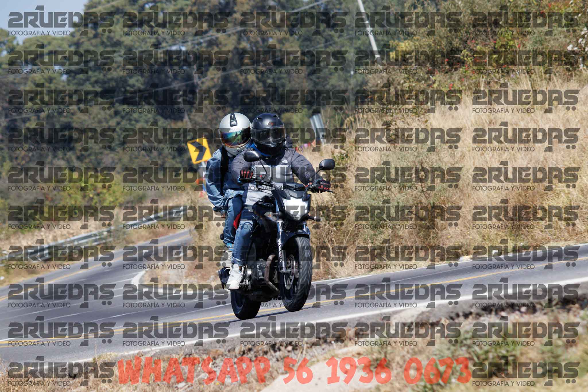 MG 8953 — Postimages