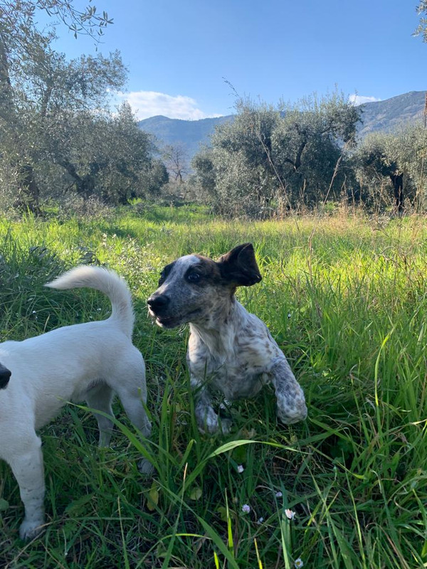 4D4ACB50-CB80-4EE1-88D9-8D47154AEE52