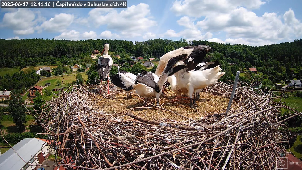 Tiešraide no KARA uzņēmuma stārķu skursteņa Bohuslavicē netālu no Trutnovas 14-7-48 screenshot