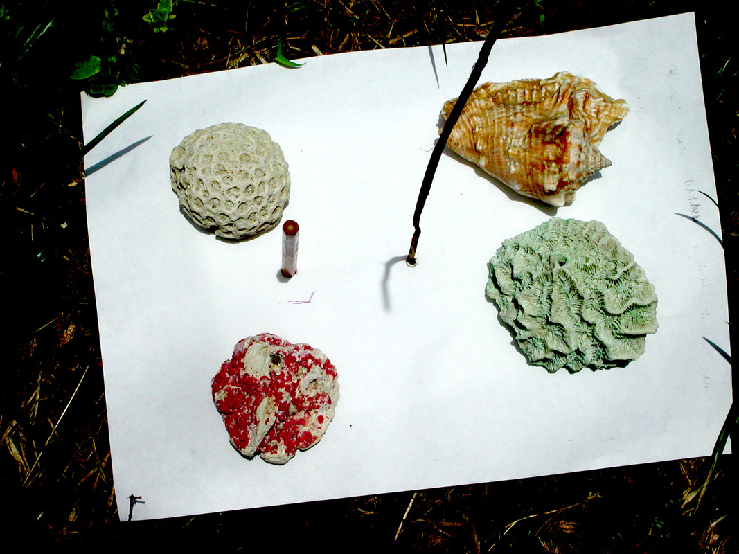 Solstice 13août2005 12h33 DSCN1759