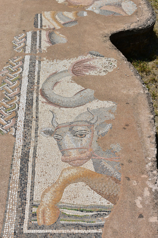 Αρχαιολογικό πάρκο Δίον