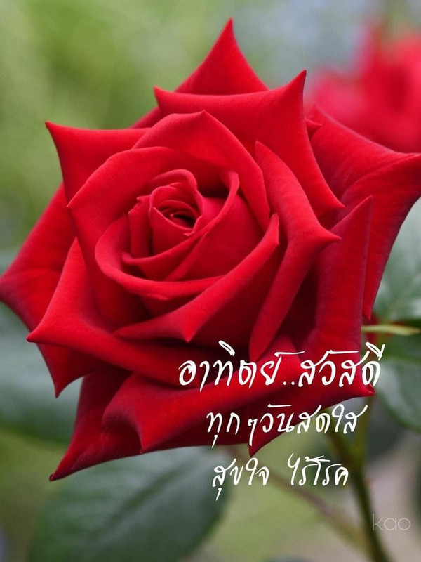 273494813_1562816747408237_5757826324155186470_n