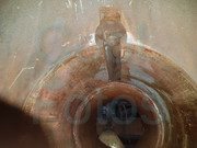 28162260-10215552752877159-6692859610084682686-o