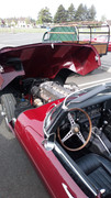 DSC-0155-1.jpg