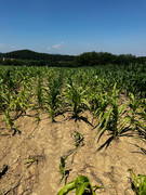 Messenger_creation_8d5e27f0-9c44-4422-bf12-4c722305f70e